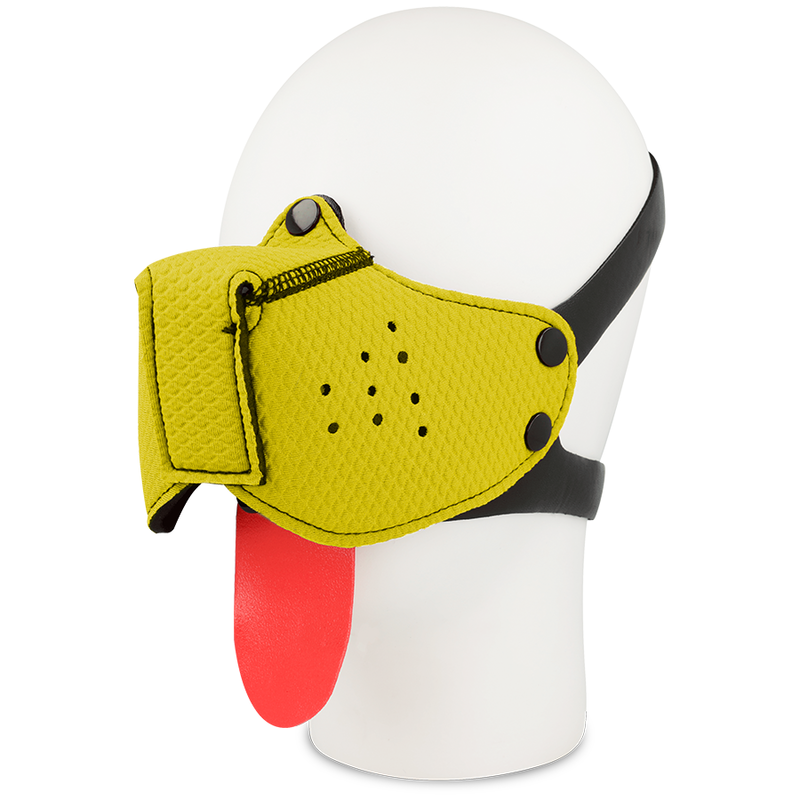 Amarelo - Açaí De Cão De Fetiche Ohmama