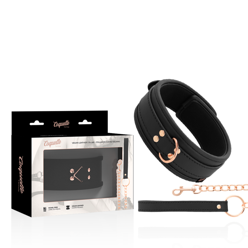 Colar De Couro Fantasy Vegan Com Ala E Forro De Neoprene - Coquette Chic Desire